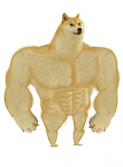 doge